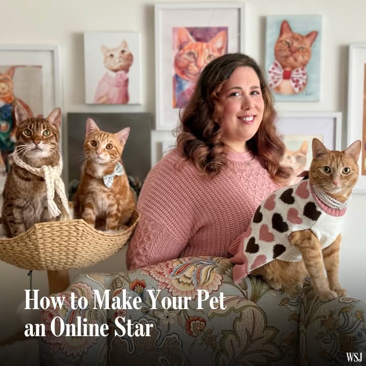 How to Make Your Pet an Online Star. Your Pet Can Become A Global Star.